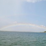 shell island 11
